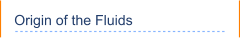 Origin of the Fluids