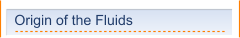 Origin of the Fluids